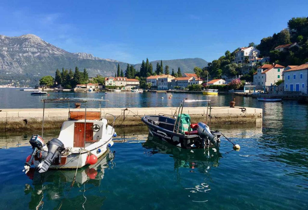 Rose Lustica Peninsula Bay of Kotor Montenegro